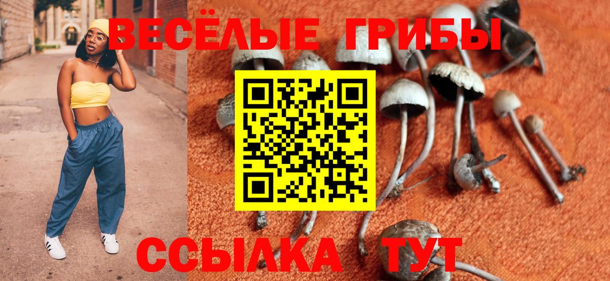 Бугуруслан  Галлюциногенные грибы мицелий  Галлюциногенные грибы ЛСД  закладки  Вход с VPN 