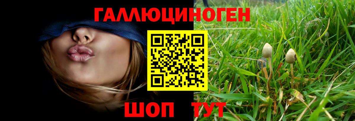 Галлюциногенные грибы Cubensis Бугуруслан